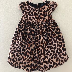 Baby Gap Cheetah Corduroy Bubble Hem Dress size 2